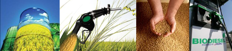 Biodiesel Chillers Biodiesel Chillers